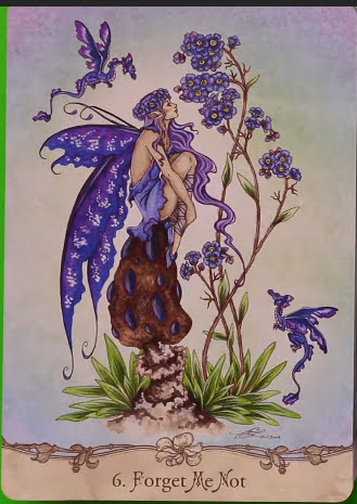 Fairy Wisdom Oracle